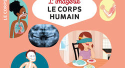 L'imagerie - Le corps humain - Couverture - Fleurus Éditions - Manon Paumard-illustrateur jeunesse